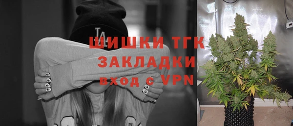 PSILOCYBIN Елабуга