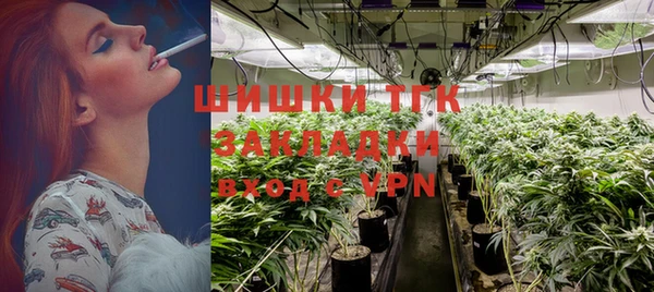 PSILOCYBIN Елабуга
