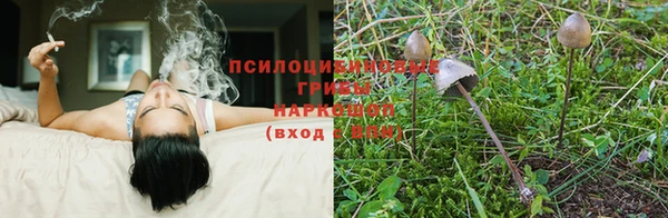 а пвп мука Ельня