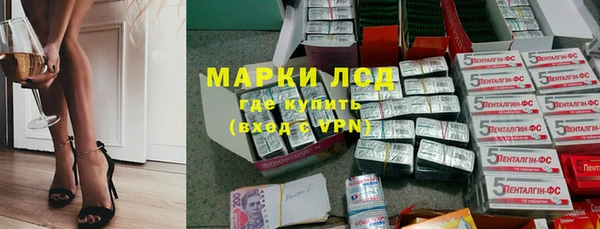 PSILOCYBIN Елабуга