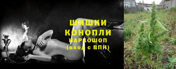 PSILOCYBIN Елабуга
